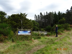dsc00304