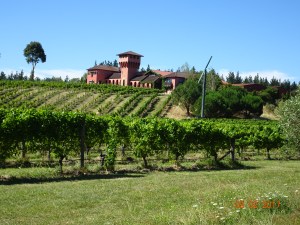 Highfield Winery