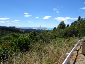 dsc00490