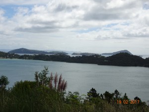 dsc00610