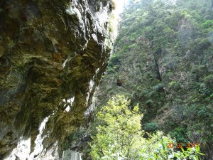 dsc00634