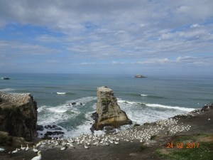dsc00656