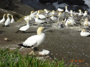 dsc00658