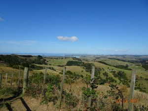 dsc00676