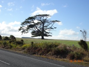 dsc00682
