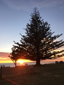 img_0131