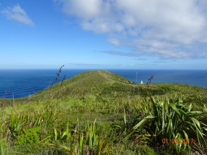 dsc00698