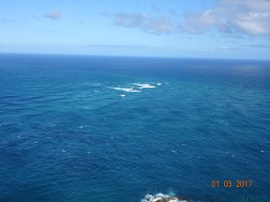 dsc00706