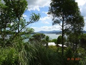 dsc00714