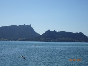 dsc00746