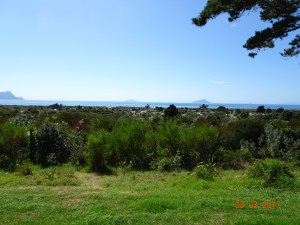 dsc00749